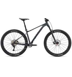 Giant Bicicleta de Montaña 29  - FATHOM 2 - 2024 - Black Diamond