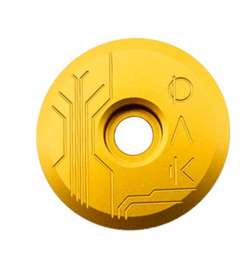 OAK Components Eternal Ahead-Kap - goud