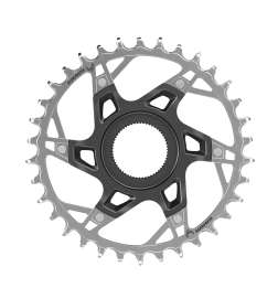 SRAM XX Eagle T-TYPE 1x12 Kettenblatt für Fazua | Direct Mount - silber