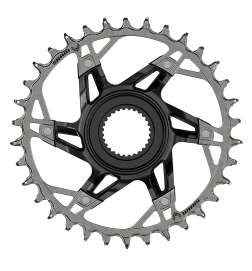 SRAM XX Eagle T-TYPE 1x12 Chainring for Bosch Gen4 | Direct Mount - black   silver