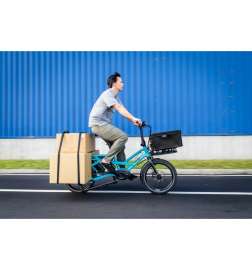 Tern Batten Straps - black