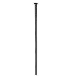 DT Swiss Champion Rayons Straightpull 2,0 - noir