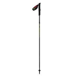 SCOTT Trailrunning Poles (Pair) - silver