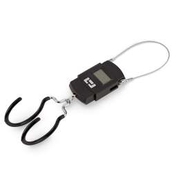 BLUECHAIN Balance Numérique