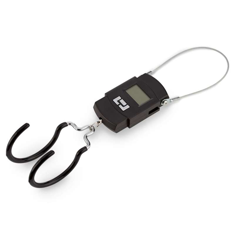 BLUECHAIN Balance Numérique