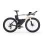 BMC SPEEDMACHINE 01 ONE - Carbon Triathlon Bike - 2026 - carbon / dust gold