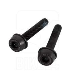 Campagnolo Vis de fixation Flat Mount (2 pièces)