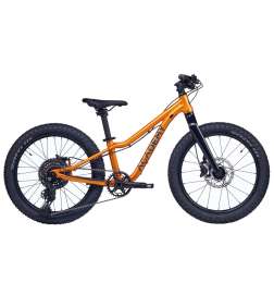 Academy Trail 4 R - 20  Kid s Mountain Bike - 2026 - amber