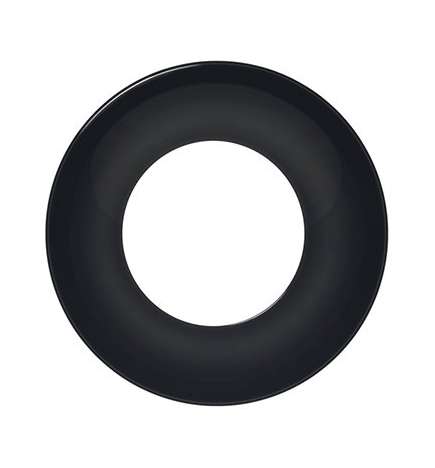 Hebie E-Bike ring for Chainguard 317