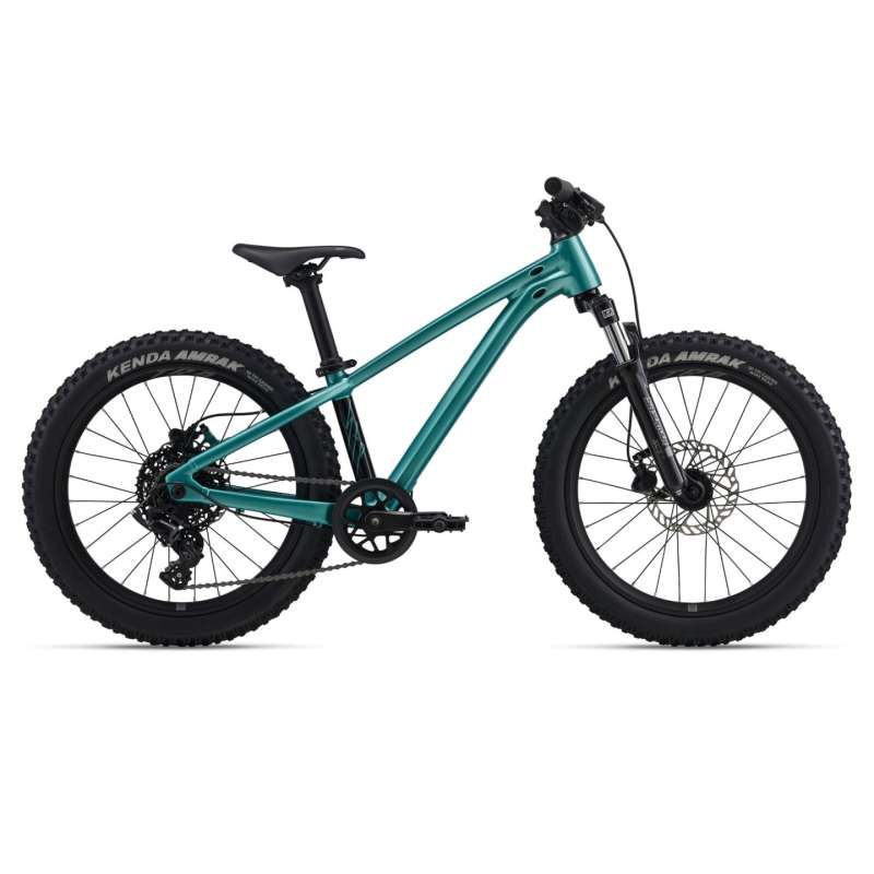 Giant STP 20 FS - 20" Kid's Mountain Bike - 2026 - teal