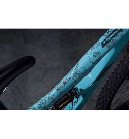 DYEDBRO Frame Protection Kit Cats - black