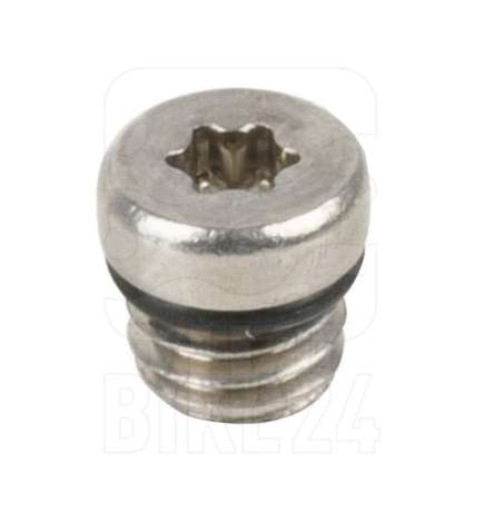 Avid Bleed Screw Stainless Steel for Brake Lever - 1 piece