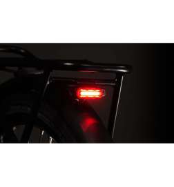 Lupine C14 G BL E-Bike Lamp Achteraan met Remlicht
