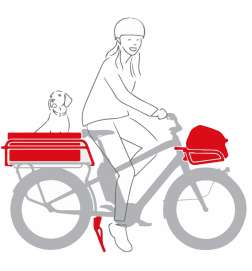 Benno Bikes Boost Dog Setup