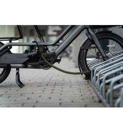 tex-lock eyelet sisältää D-lock-U-lukon - 120cm - stardust