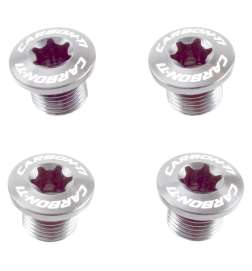 Carbon-Ti Tornillos de Plato - X-Fix - para X-Ring Evo - plata