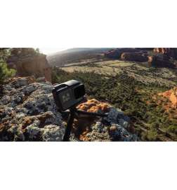 GoPro Tripod Mounts (Standard   Quick Release   Mini)