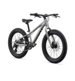 Giant STP 20  Kids Mountainbike - 2024 - concrete