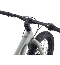 Giant STP 20  Kids Mountainbike - 2024 - concrete