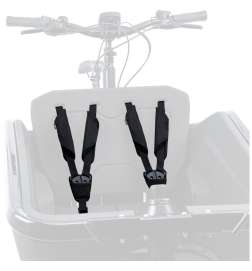 CUBE CARGO Safety Belt - Black