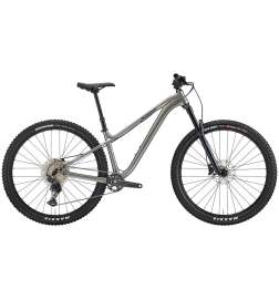Kona HONZO DL - 29" MTB - 2023 - gloss metallic grey