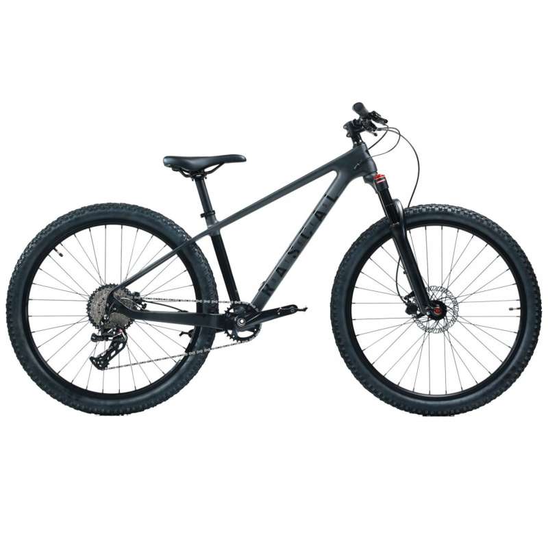 Rascal Rebel 27 - 27.5" Youth Carbon Mountain Bike - 2024 - Carbon