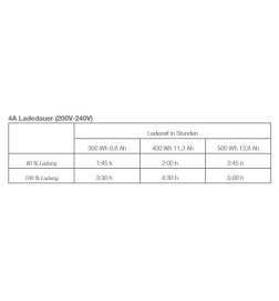 Giant 3-Pin Fast Charger - E-Bike Ladegerät - 710000004