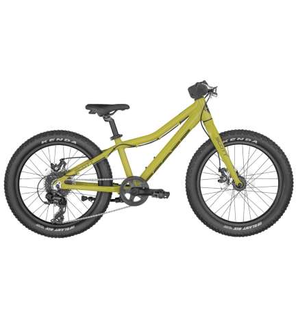 SCOTT ROXTER 20 - 20  Children s Bike - 2023 - green