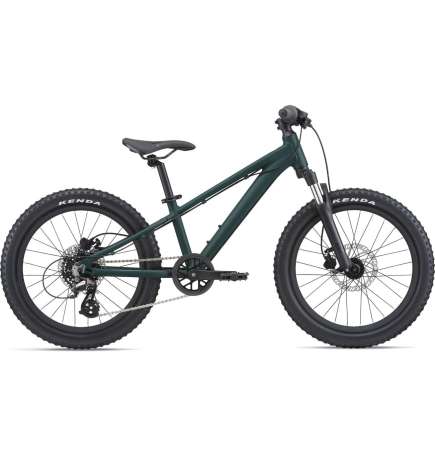 Giant STP 20  FS Kids Mountainbike - 2024 - trekking green